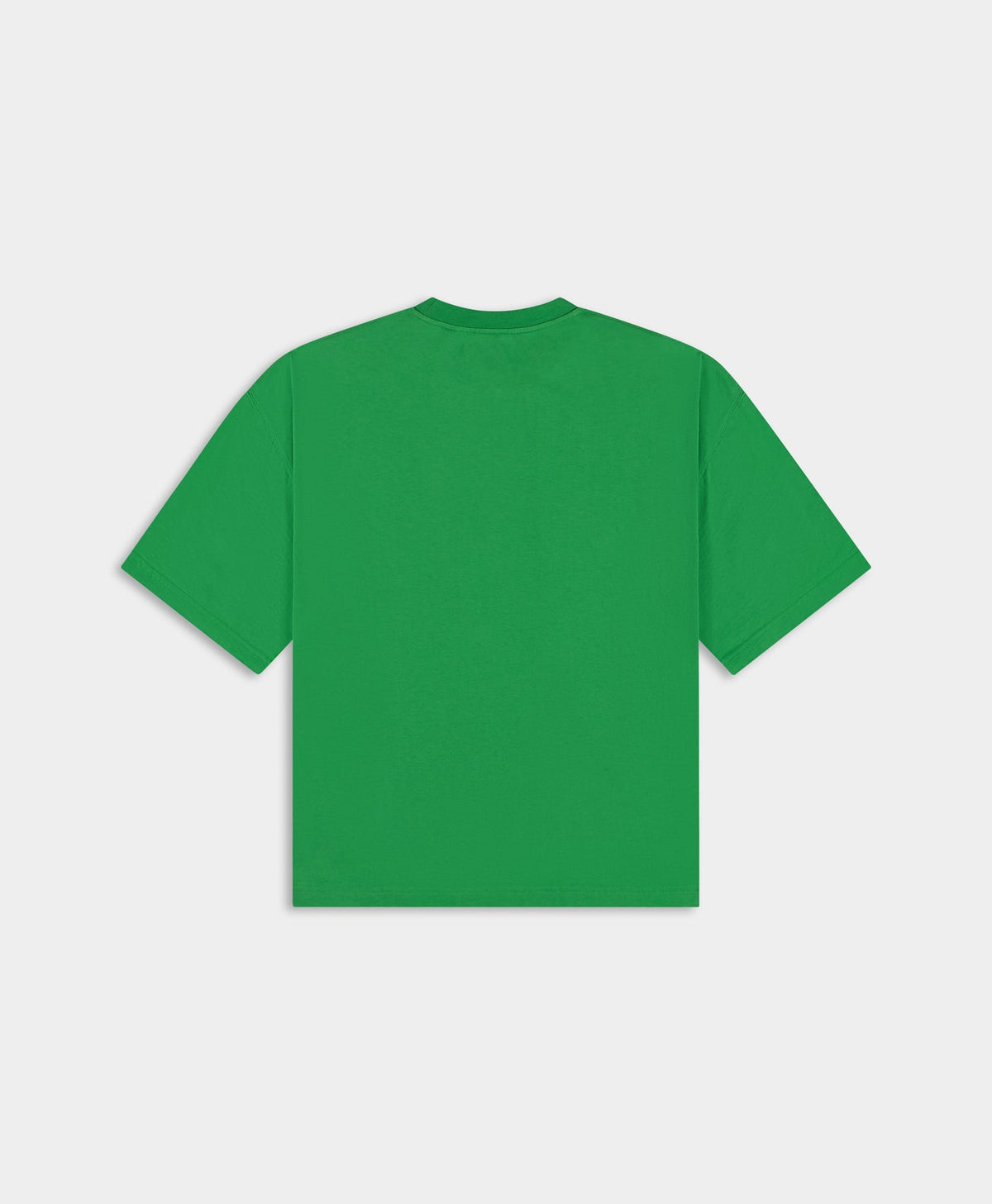 Boxy Fern Green Stay Informed T-Shirt