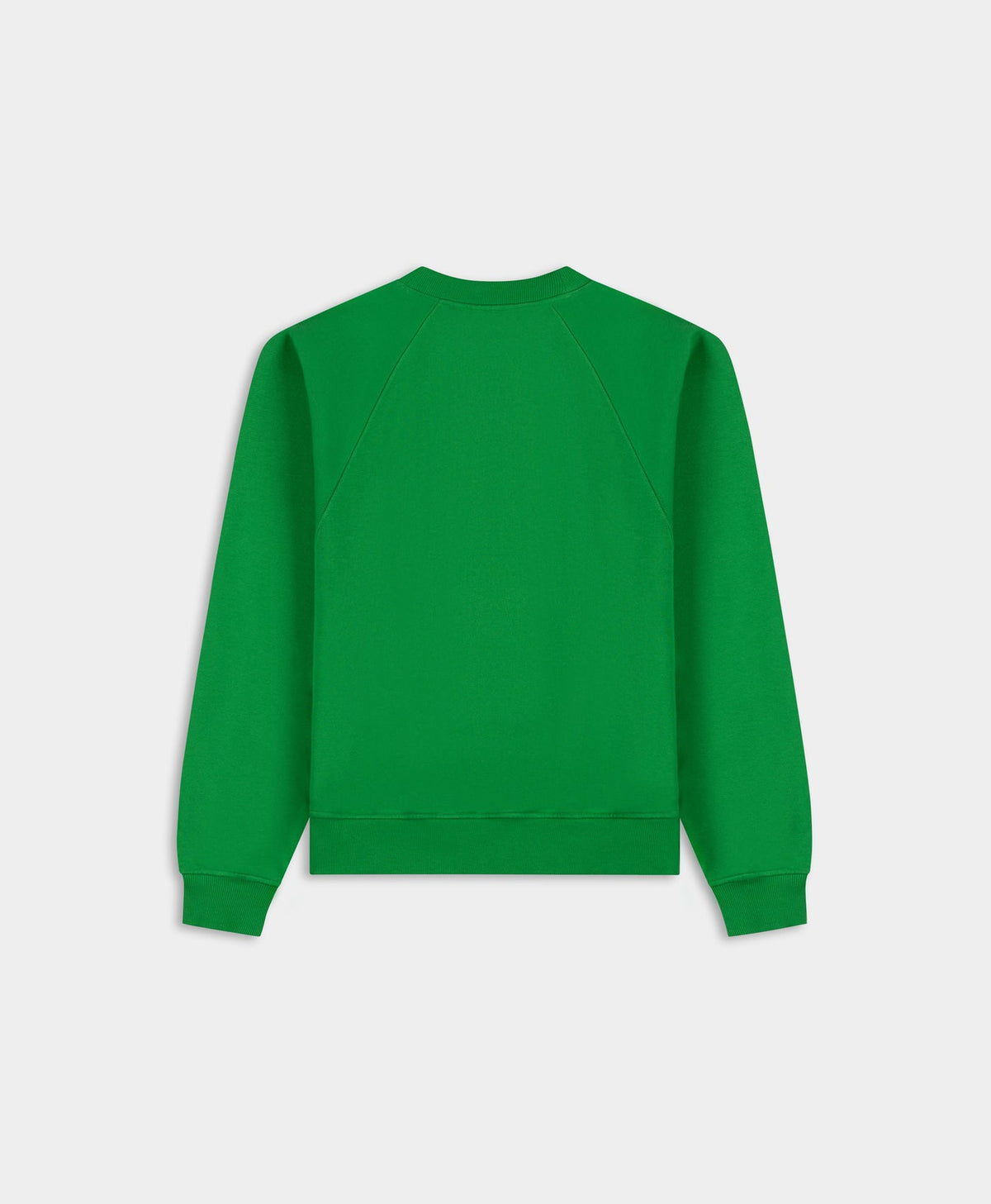 Fern Green Stay Informed Sweater